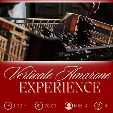 verticale-experience